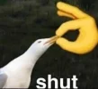 [MedStudentsOnline.com.au] General FunTimes and Meme-ery