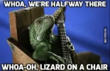 [MedStudentsOnline.com.au] General FunTimes and Meme-ery