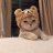 mishamisha313