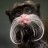 emperortamarin