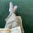 Abdulrk6284